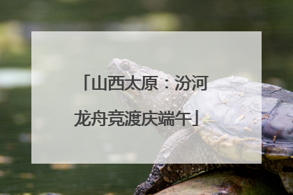 山西太原：汾河龙舟竞渡庆端午