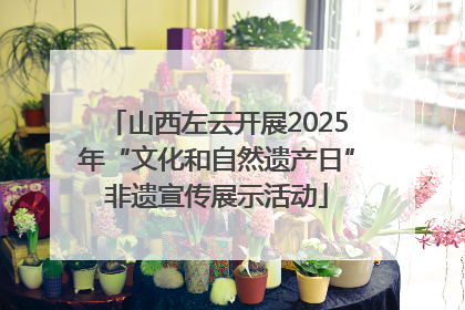 山西左云开展2025年“文化和自然遗产日”非遗宣传展示活动