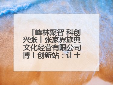 峰林聚智 科创兴张丨张家界旅典文化经营有限公司博士创新站：让土家织锦“智”造出非遗新传奇