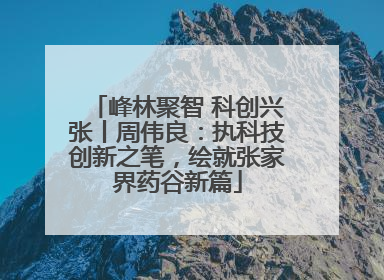 峰林聚智 科创兴张丨周伟良：执科技创新之笔，绘就张家界药谷新篇