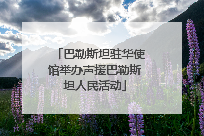 巴勒斯坦驻华使馆举办声援巴勒斯坦人民活动