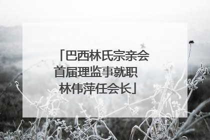 巴西林氏宗亲会首届理监事就职 林伟萍任会长
