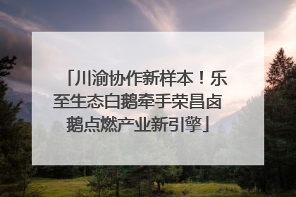 川渝协作新样本！乐至生态白鹅牵手荣昌卤鹅点燃产业新引擎