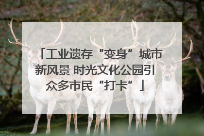 工业遗存“变身”城市新风景 时光文化公园引众多市民“打卡”