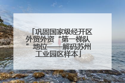 巩固国家级经开区外贸外资“第一梯队”地位——解码苏州工业园区样本