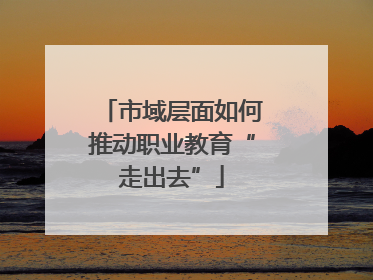 市域层面如何推动职业教育“走出去”