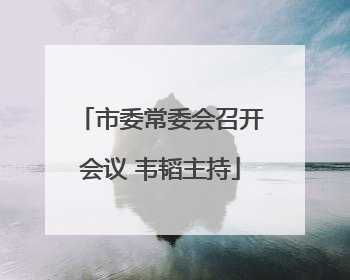 市委常委会召开会议 韦韬主持