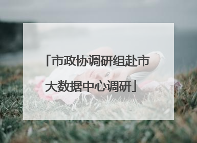 市政协调研组赴市大数据中心调研