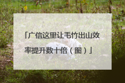 广信这里让毛竹出山效率提升数十倍（图）