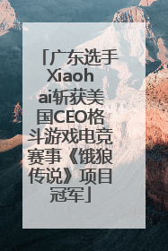 广东选手Xiaohai斩获美国CEO格斗游戏电竞赛事《饿狼传说》项目冠军