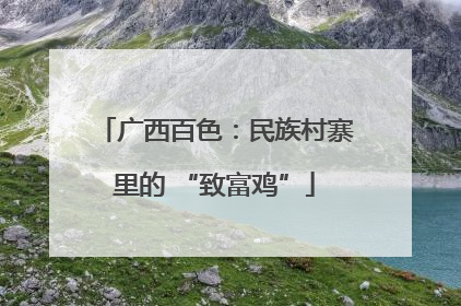 广西百色：民族村寨里的 “致富鸡”