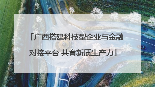 广西搭建科技型企业与金融对接平台 共育新质生产力