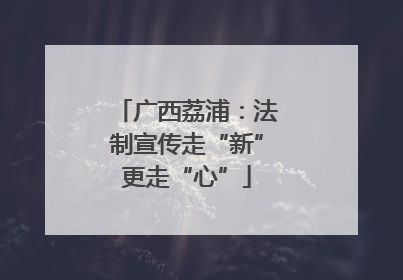 广西荔浦：法制宣传走“新”更走“心”