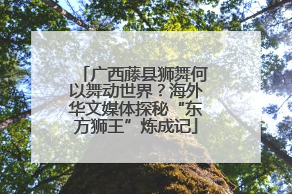 广西藤县狮舞何以舞动世界？海外华文媒体探秘“东方狮王”炼成记