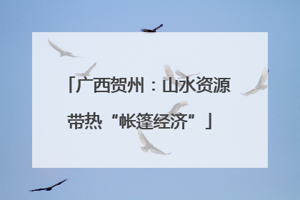 广西贺州：山水资源带热“帐篷经济”