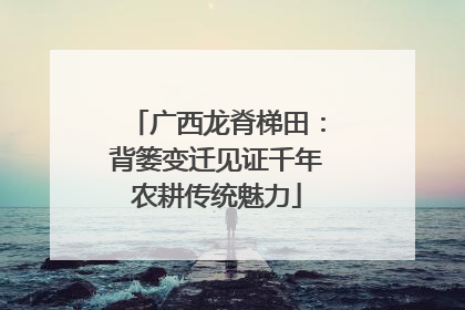 广西龙脊梯田：背篓变迁见证千年农耕传统魅力