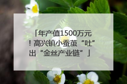 年产值1500万元！高兴镇小蚕茧“吐”出“金丝产业链”