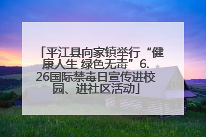平江县向家镇举行“健康人生 绿色无毒”6.26国际禁毒日宣传进校园、进社区活动