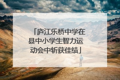 庐江乐桥中学在县中小学生智力运动会中斩获佳绩