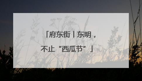 府东街丨东明，不止“西瓜节”