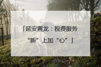 延安黄龙：税费服务“新”上加“心”