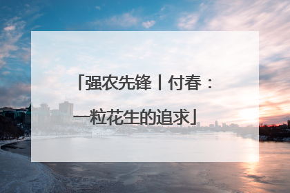 强农先锋丨付春：一粒花生的追求
