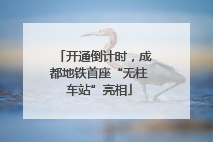 开通倒计时，成都地铁首座“无柱车站”亮相