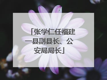 张学仁任福建一县副县长、公安局局长