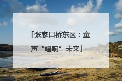 张家口桥东区：童声“唱响”未来