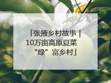 张掖乡村故事｜10万亩高原夏菜“绿”富乡村