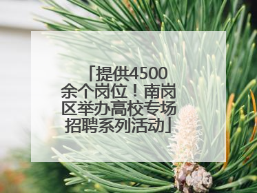 提供4500余个岗位！南岗区举办高校专场招聘系列活动
