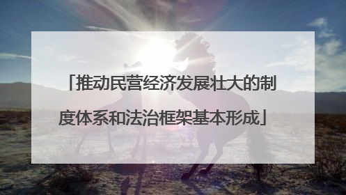 推动民营经济发展壮大的制度体系和法治框架基本形成