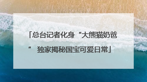 总台记者化身“大熊猫奶爸” 独家揭秘国宝可爱日常