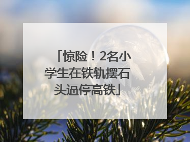 惊险！2名小学生在铁轨摆石头逼停高铁