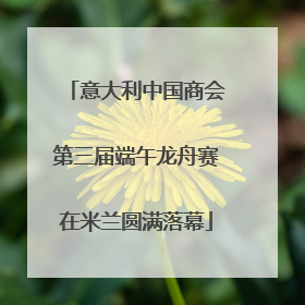 意大利中国商会第三届端午龙舟赛在米兰圆满落幕