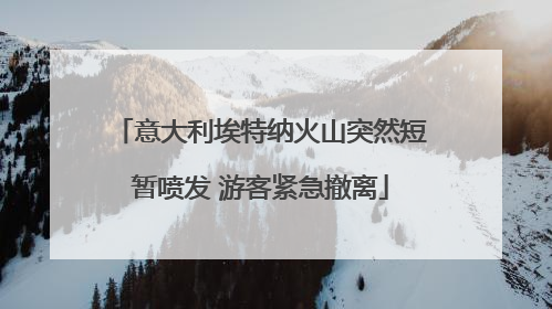 意大利埃特纳火山突然短暂喷发 游客紧急撤离