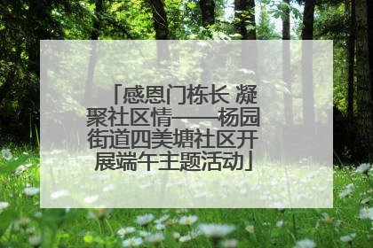 感恩门栋长 凝聚社区情——杨园街道四美塘社区开展端午主题活动