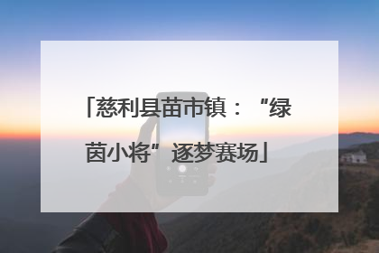 慈利县苗市镇：“绿茵小将”逐梦赛场