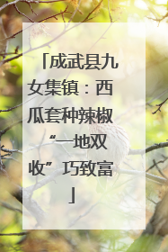 成武县九女集镇：西瓜套种辣椒 “一地双收”巧致富