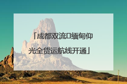 成都双流⇌缅甸仰光全货运航线开通