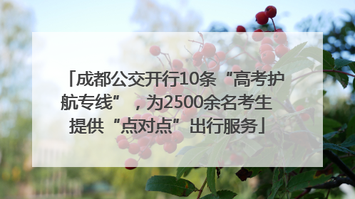 成都公交开行10条“高考护航专线”，为2500余名考生提供“点对点”出行服务