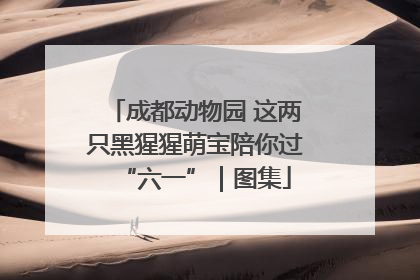 成都动物园 这两只黑猩猩萌宝陪你过“六一”｜图集