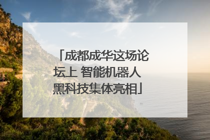 成都成华这场论坛上 智能机器人黑科技集体亮相