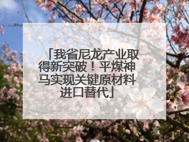 我省尼龙产业取得新突破！平煤神马实现关键原材料进口替代