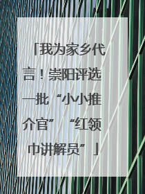 我为家乡代言！崇阳评选一批“小小推介官”“红领巾讲解员”