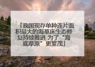 我国现存单种连片面积最大的海草床生态修复持续推进 为了“海底草原”更繁茂