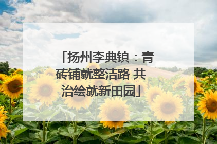 扬州李典镇：青砖铺就整洁路 共治绘就新田园