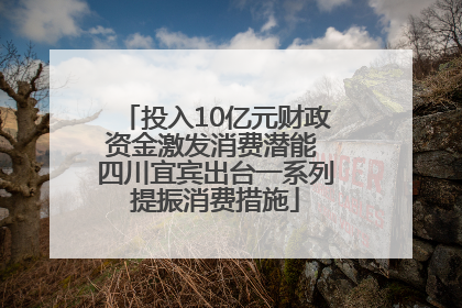 投入10亿元财政资金激发消费潜能 四川宜宾出台一系列提振消费措施