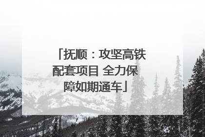 抚顺：攻坚高铁配套项目 全力保障如期通车