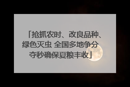 抢抓农时、改良品种、绿色灭虫 全国多地争分夺秒确保夏粮丰收